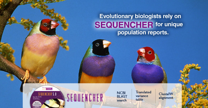 Gene Codes Evolutionary Biology Sequencher